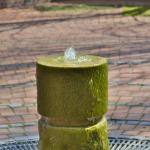 Quellstein auf dem Vorplatz der Friedhofskapelle im Fr&uuml;hling